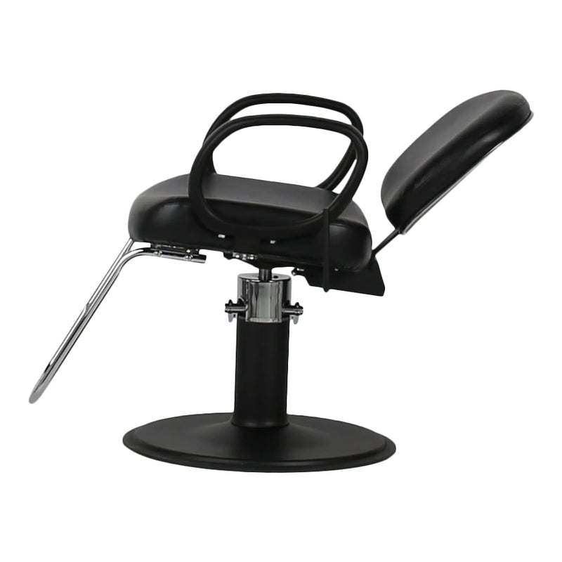 Diane All-Purpose Styling Chair